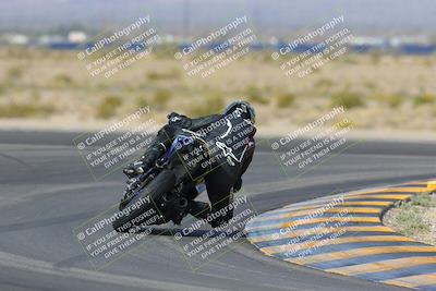 media/Mar-12-2023-SoCal Trackdays (Sun) [[d4c8249724]]/Turn 11 Backside (10am)/